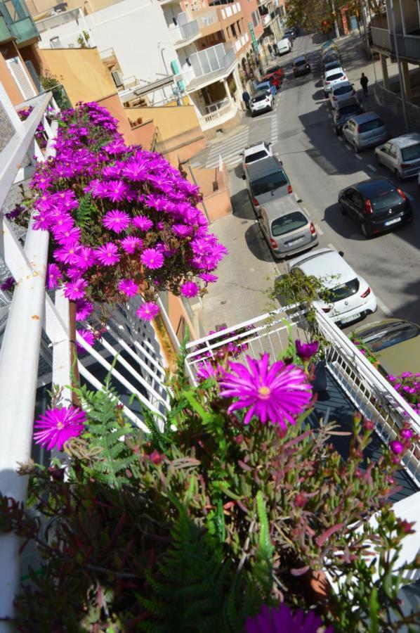 Hostal Mar Del Plata (Adults Only) El Arenal  Luaran gambar