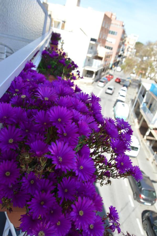 Hostal Mar Del Plata (Adults Only) El Arenal  Luaran gambar